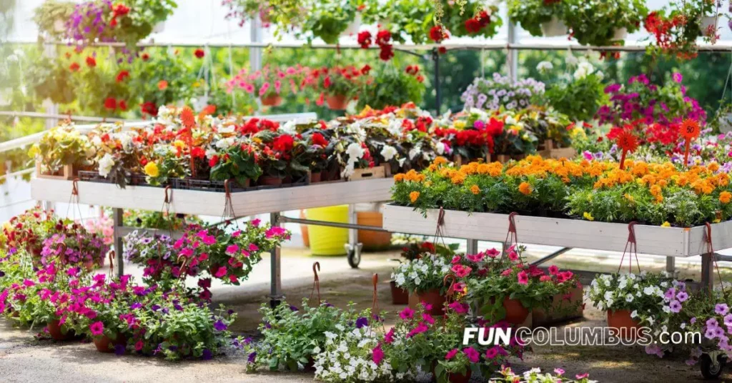 Columbus Ohio Garden Center - Spring and Summer plant display