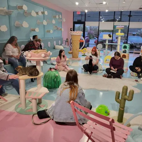 Fun Date Night in Columbus Ideas: Kitty Bubble Cafe & Bar